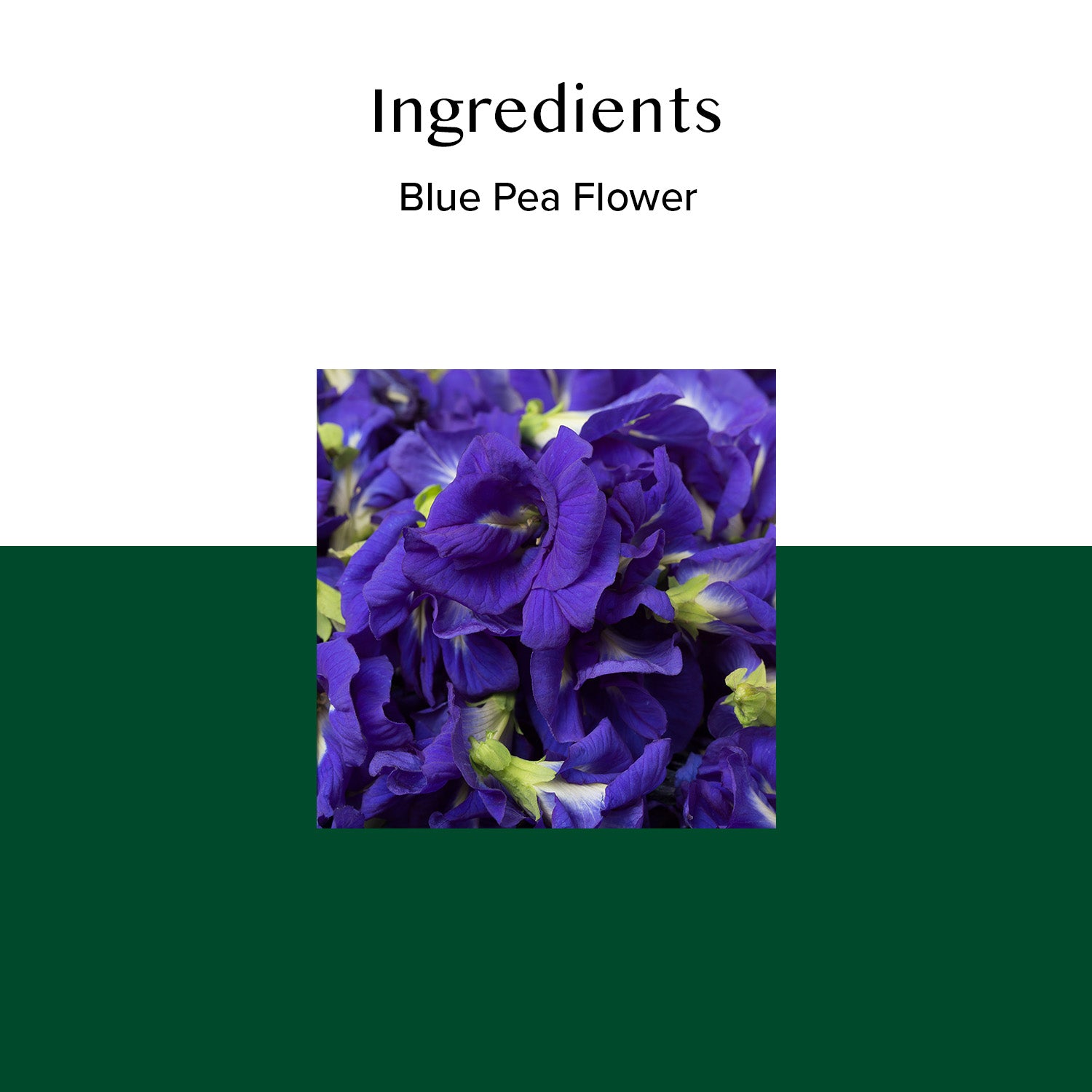 Butterfly Pea Flower Herbal Tea, 40 Tea Bags