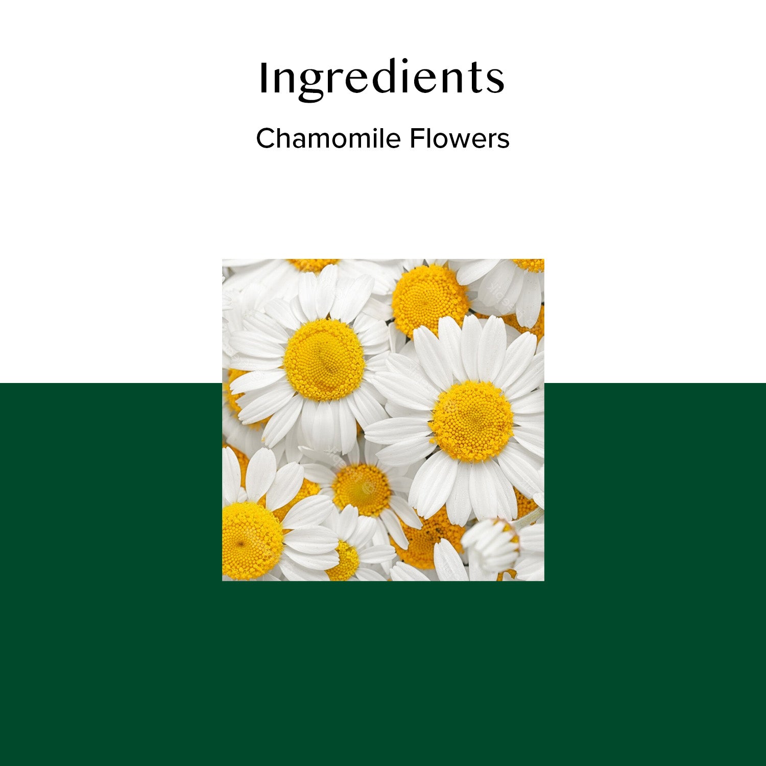 Classic Chamomile Herbal Tea Tisane, 100 Count