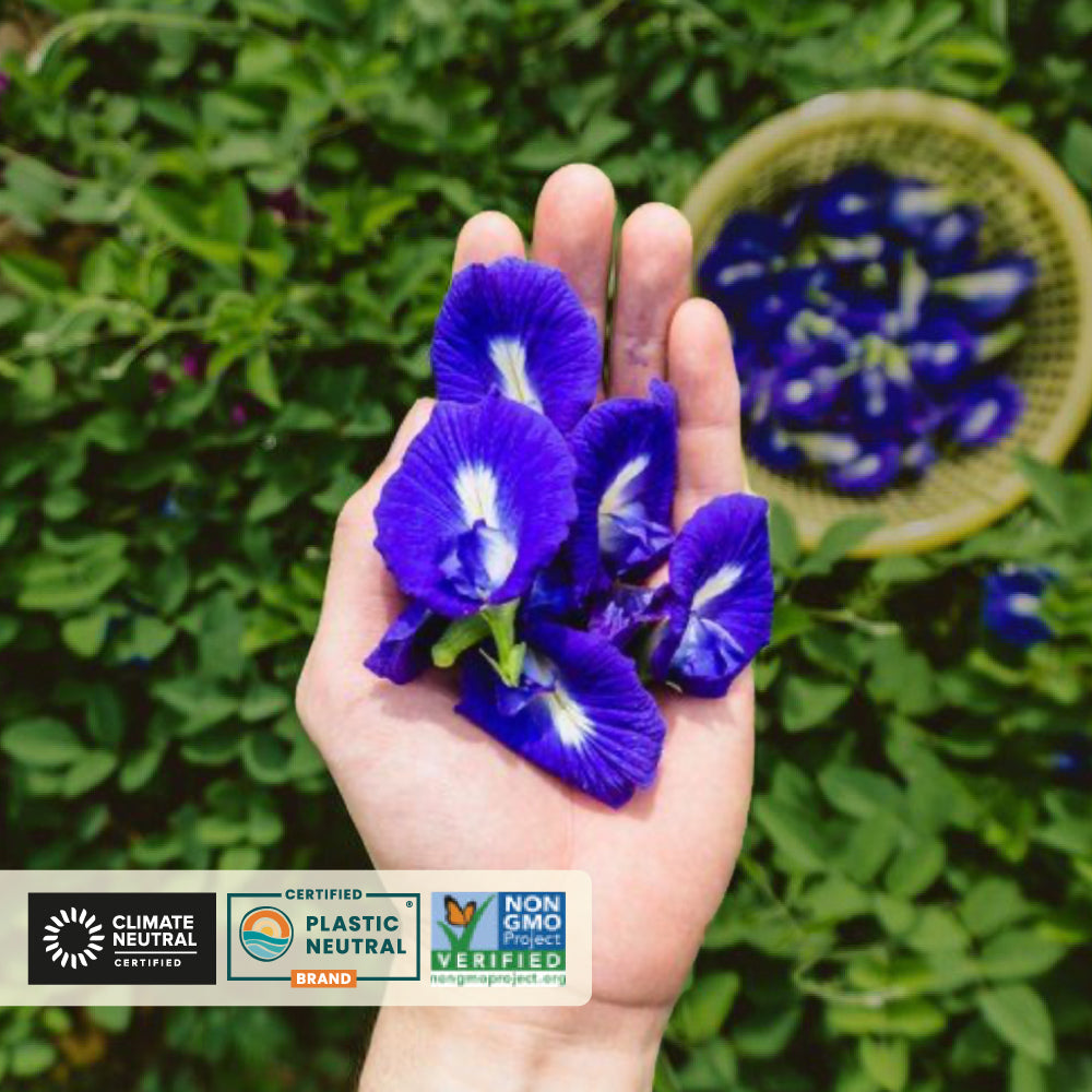 Butterfly Pea Flower Herbal Tea: 40 Tea Bags, Image 5